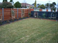 sv51394108525621-50.jpg